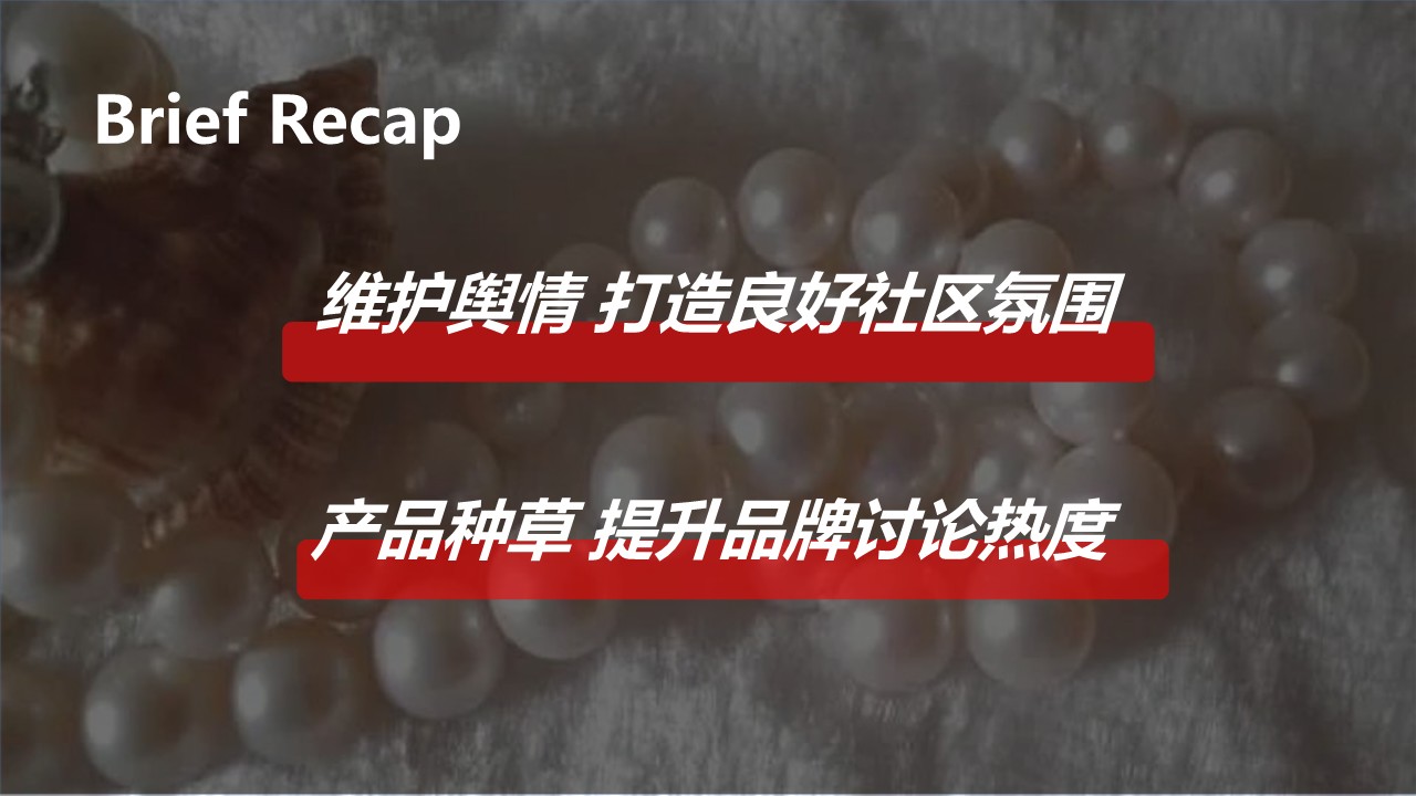 京润珍珠小红书社媒推广方案【KOL营销】 第2页