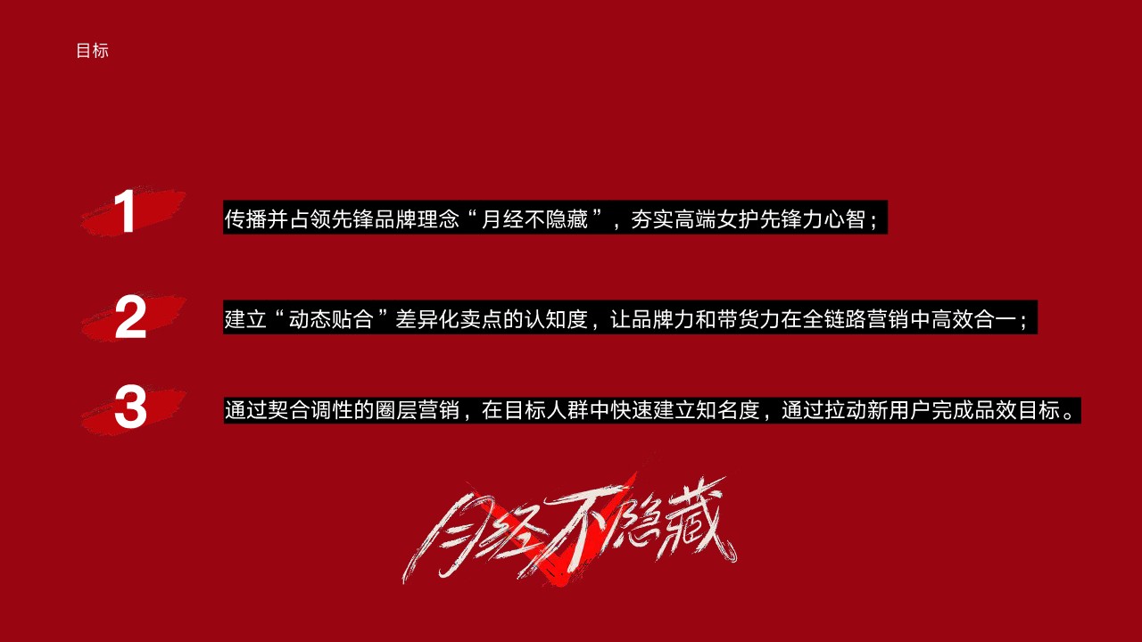 卫生巾品牌&ldquo;月经不隐藏3.0&rdquo;整合推广结案【营销结案】 第3页