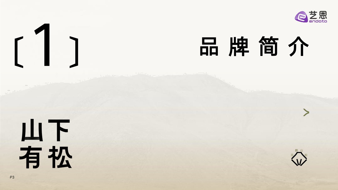 2025年山下有松品牌洞察报告【营销分析】 第3页
