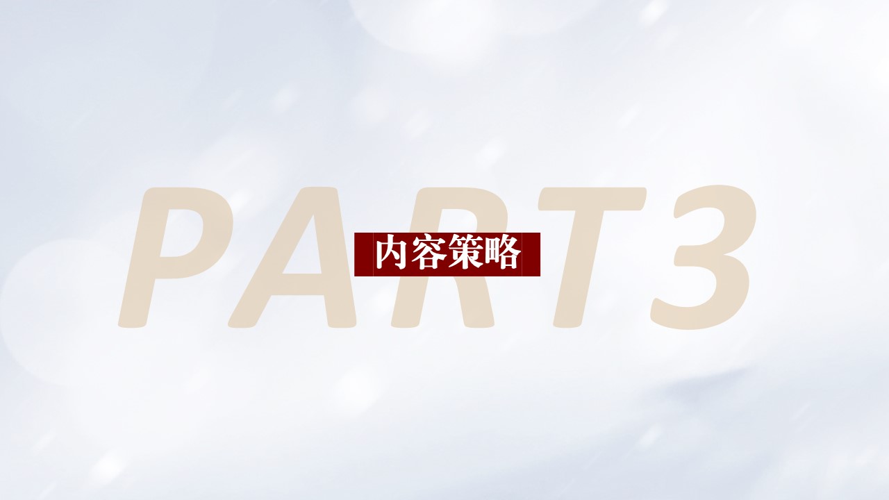 2025国货护肤品牌内容策略方案【种草营销】【KOL营销】 第3页