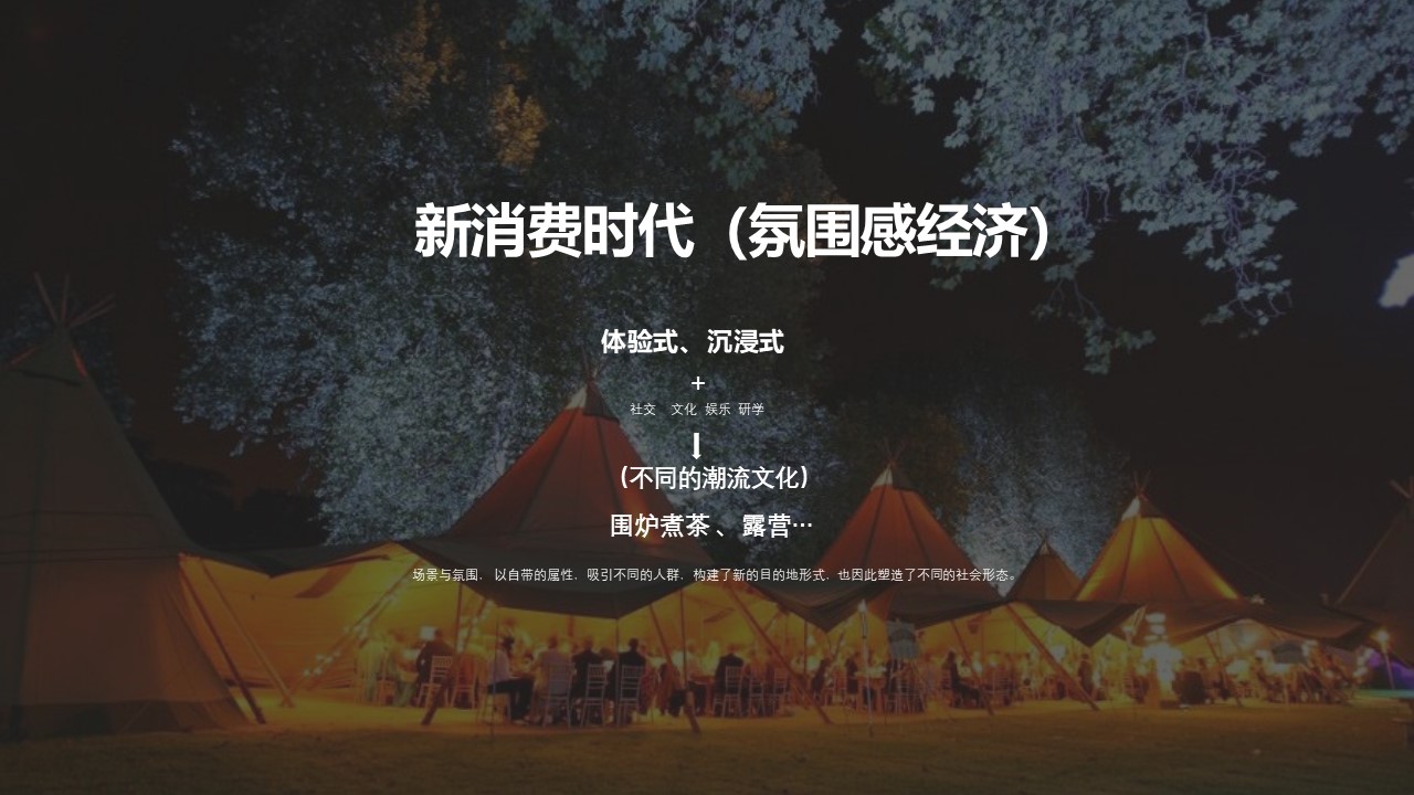 商业空间前期概念策划方案【商业地产规划】 第3页
