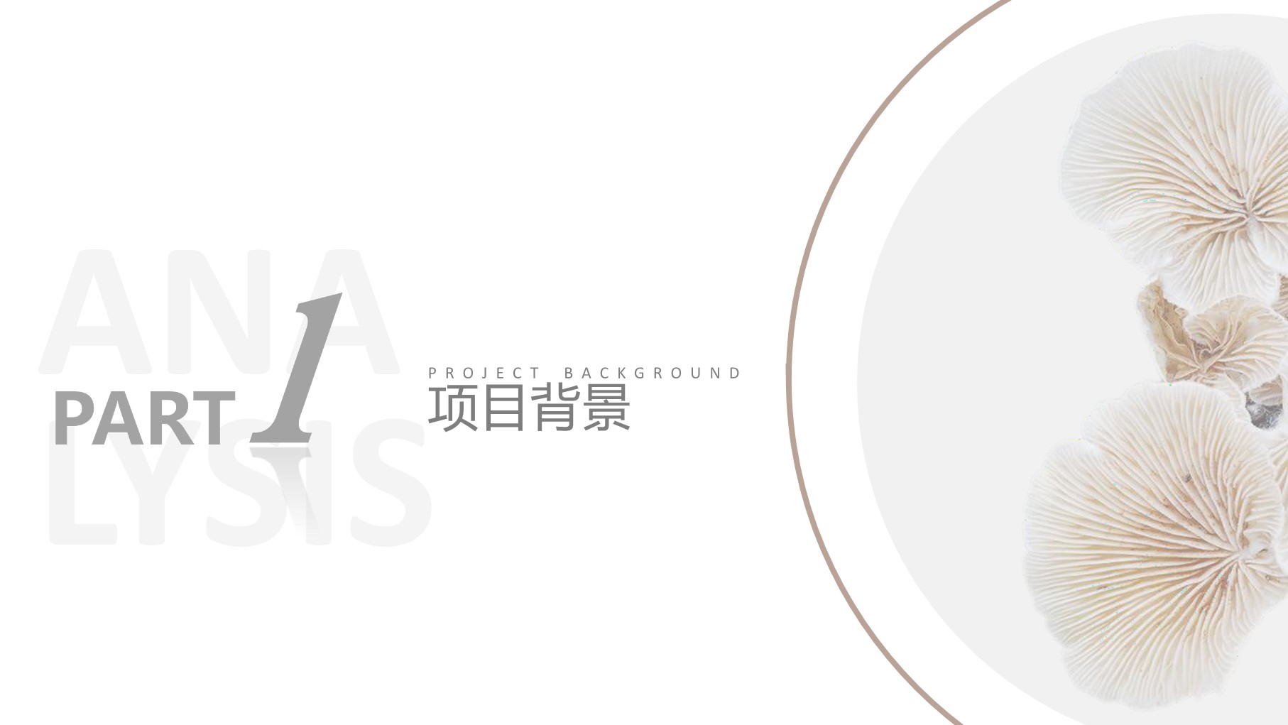 中国蘑菇小镇全域旅游策划及概念性设计方案【文旅小镇规划】 第3页