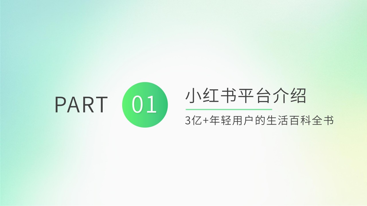 小红书三美行业2025平台营销通案 第2页