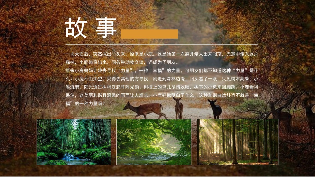 2025秋季高端服装品牌发布会走秀活动策划方案【服装】 第3页