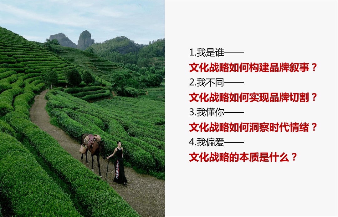 2025年霸王茶姬文化战略复盘【新茶饮品牌战略】 第3页