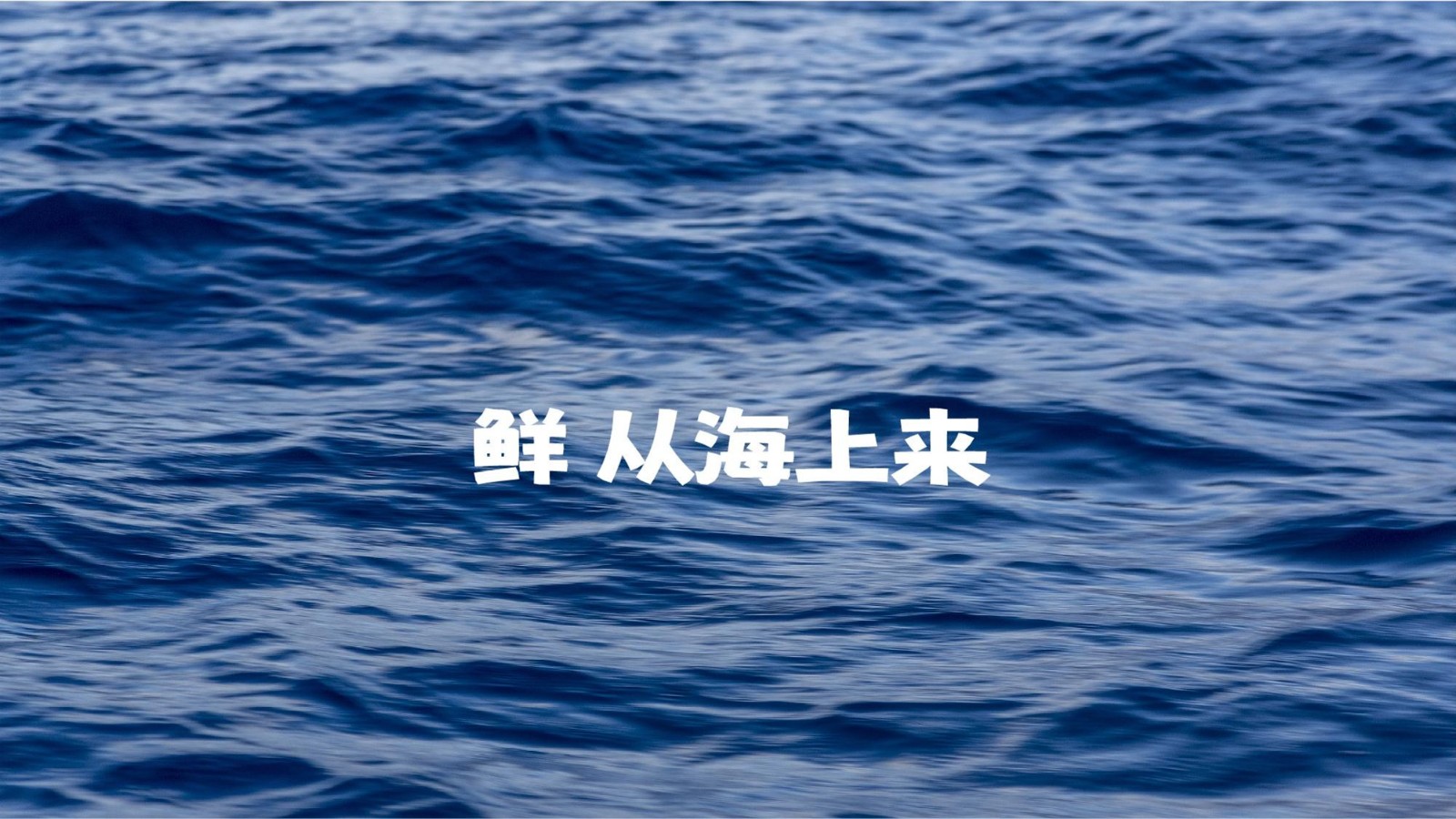 胡叨叨黄油砂锅焗海鲜品牌手册【餐饮】 第2页