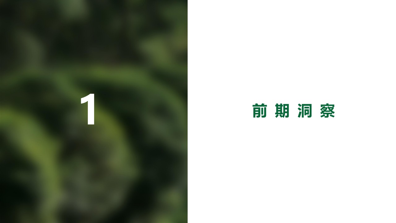 怡宝纯净水抖音水饮新店全域运营营销方案【电商运营】 第3页