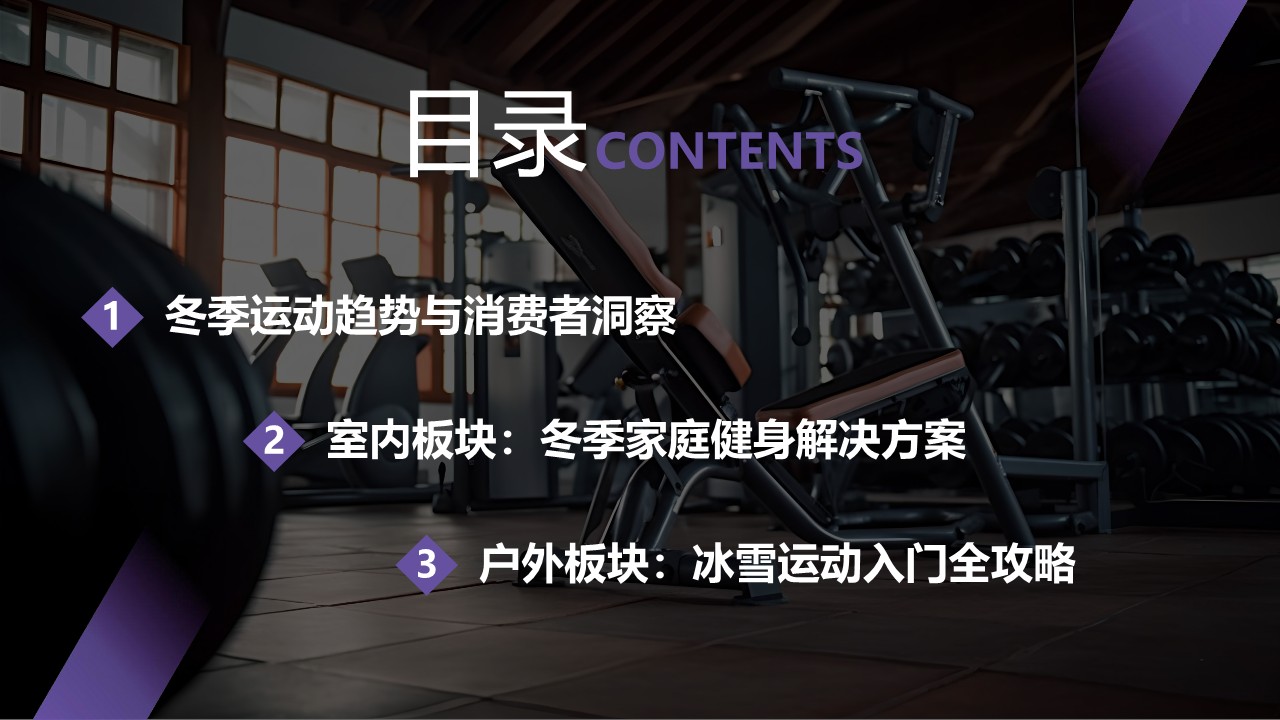 冬季运动两极分化趋势与品牌破局点 第2页