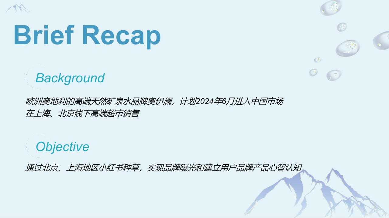 高端矿泉水品牌小红书营销推广案 第2页