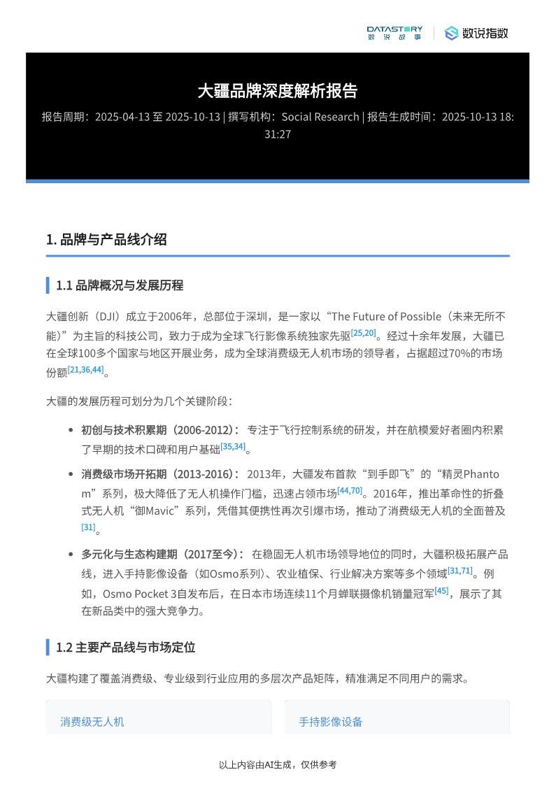 大疆品牌深度解析与营销要素分析【品牌分析】 第2页