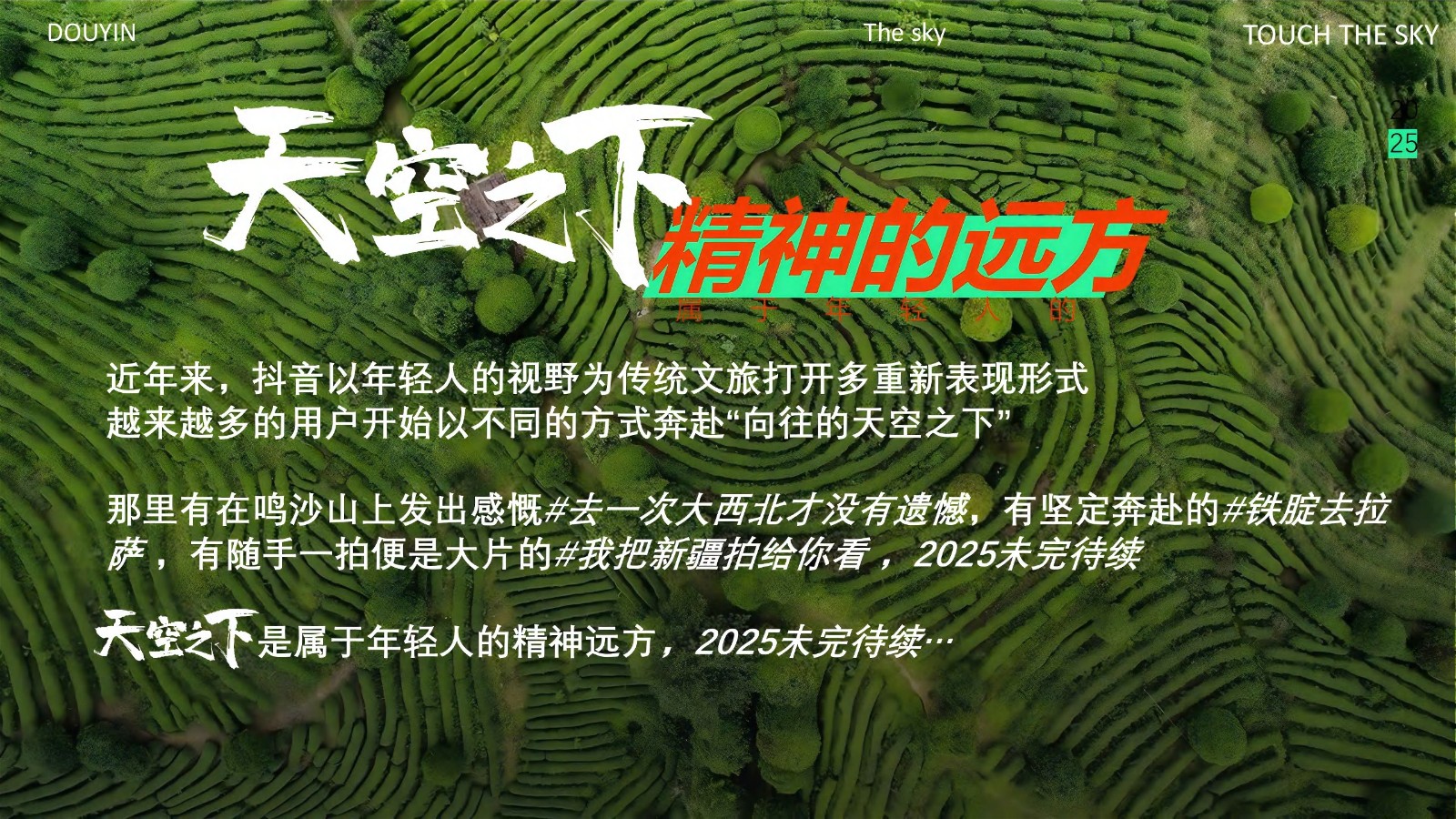 抖音天空之下音乐会IP营销【抖音营销】 第2页