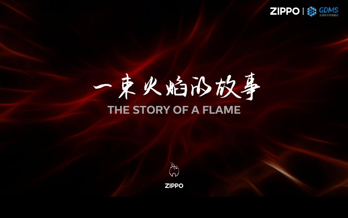 从&ldquo;上新&rdquo;到&ldquo;造浪&rdquo;ZIPPO如何用情绪完成新品的破圈营销【营销方案】 第3页