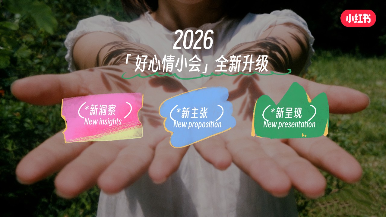 2026年小红书38好心情小会招商方案【招商策划】 第3页