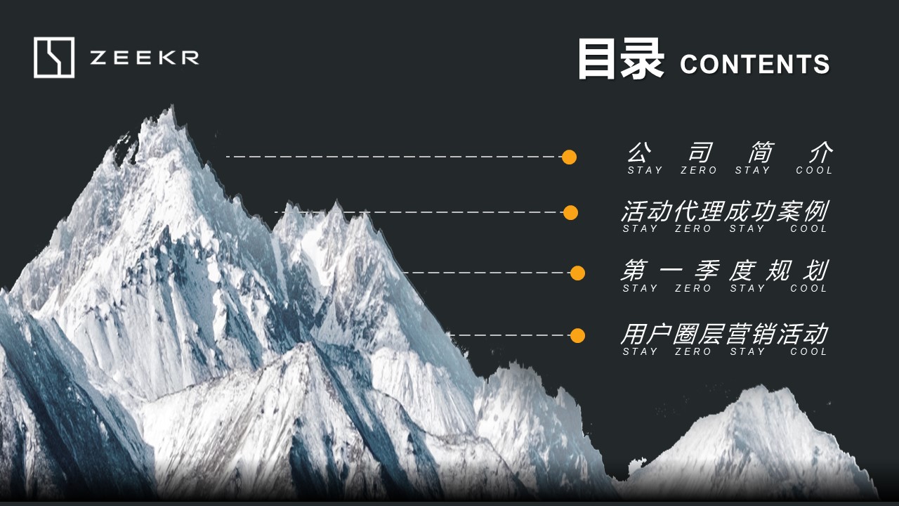 极氪汽车区代中标季度规划圈层活动营销策划 第3页