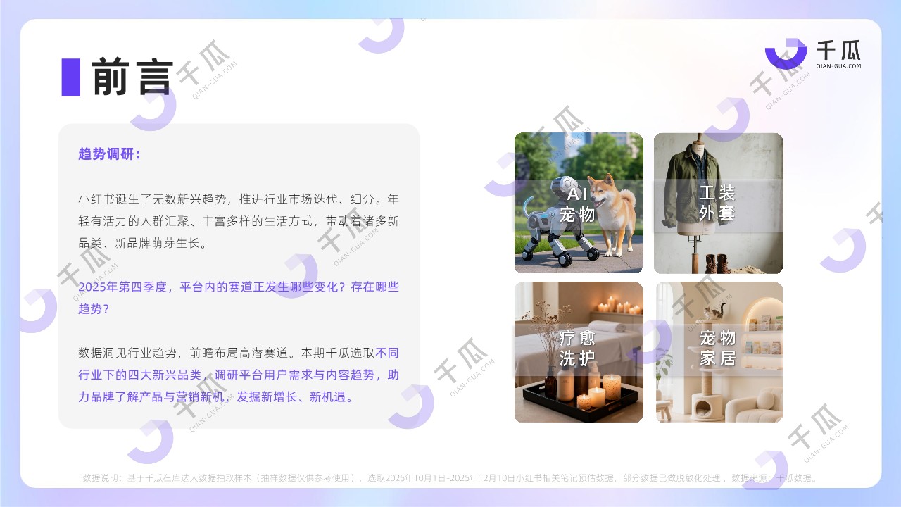 2025年第四季度「新兴品类」简报（小红书平台） 第2页