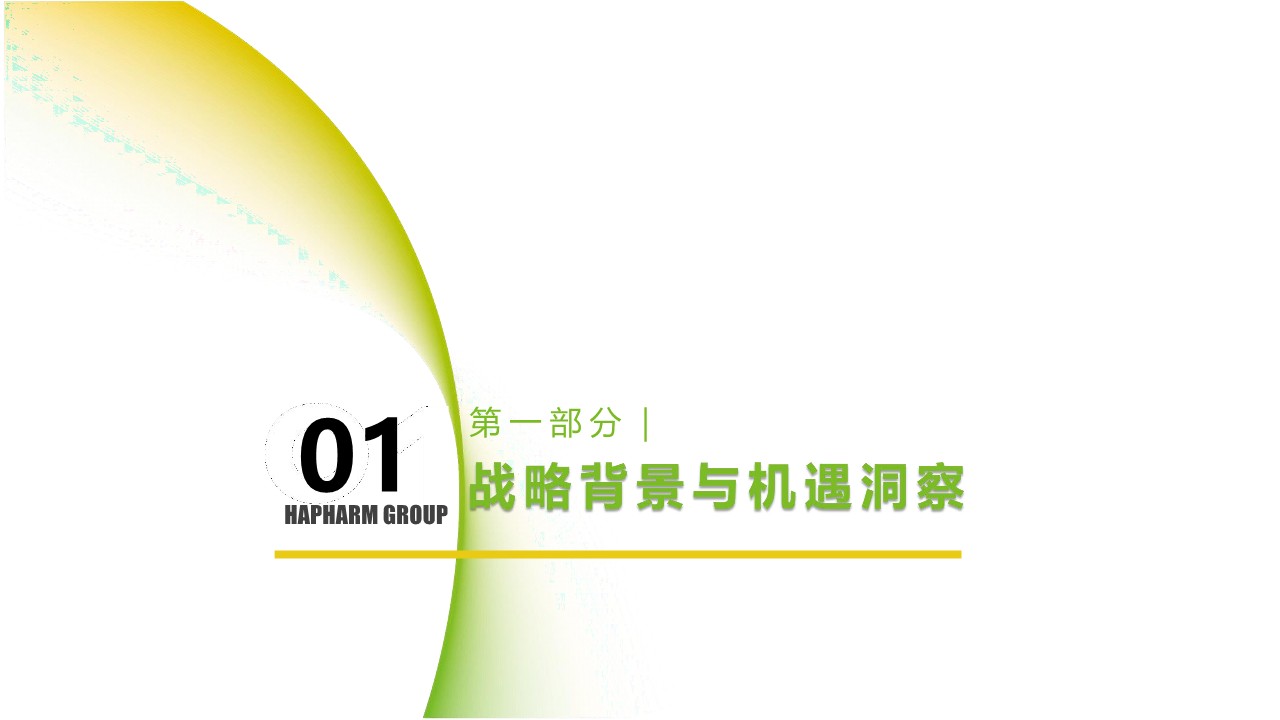 哈药集团2026年度品牌传播规划方案 第2页