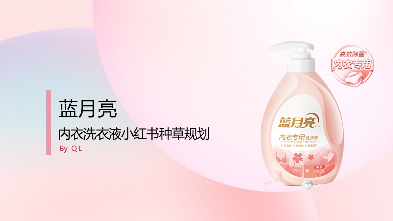蓝月亮内衣洗衣液小红书种草规划【小红书营销】【内容种草】 第2页