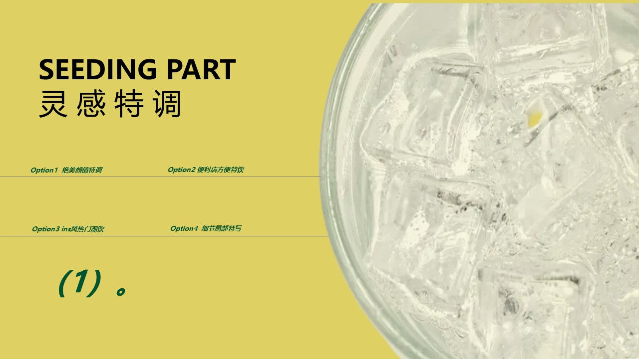 快消零售气泡水品牌种草方案【种草营销】【社媒推广】 第2页