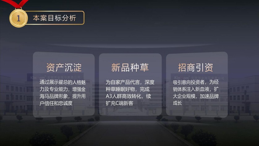 商业IP账号运营方案【IP运营】【短视频运营】 第2页