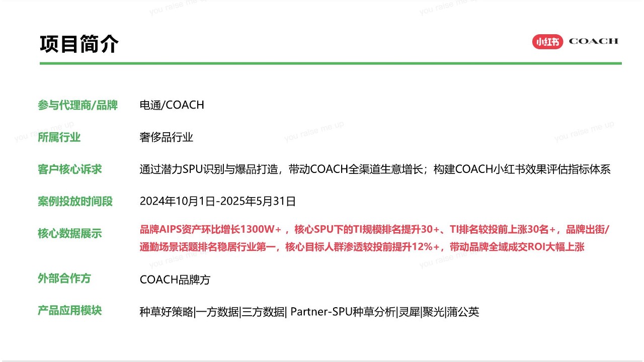 COACH蔻驰破局之战小红书科学种草撬动全域增长【种草营销】【小红书运营】 第2页