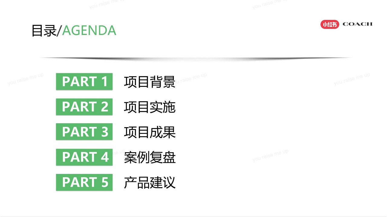 COACH蔻驰破局之战小红书科学种草撬动全域增长【种草营销】【小红书运营】 第3页