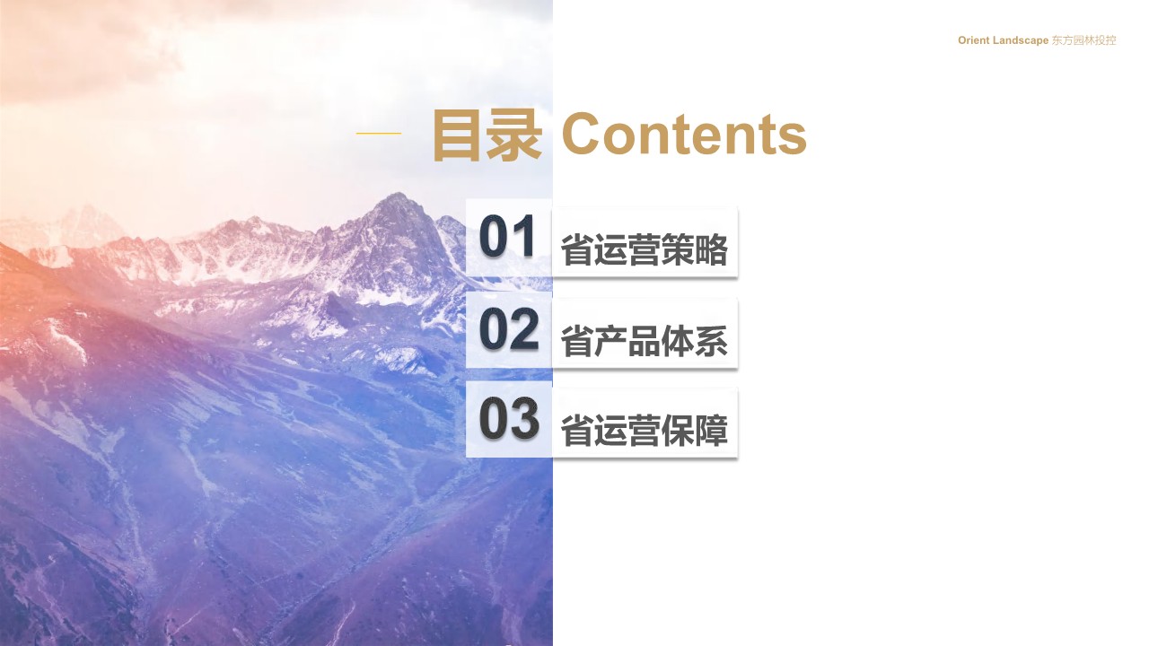 四川省旅游发展战略运营招商策划【文旅】【项目规划】 第2页