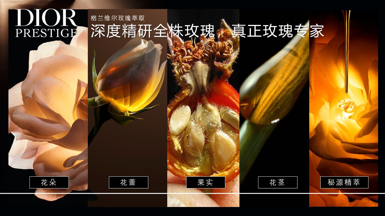 迪奥花秘美妍私享会Y26&middot;年度创意规划【美妆护肤】【活动营销】 第3页