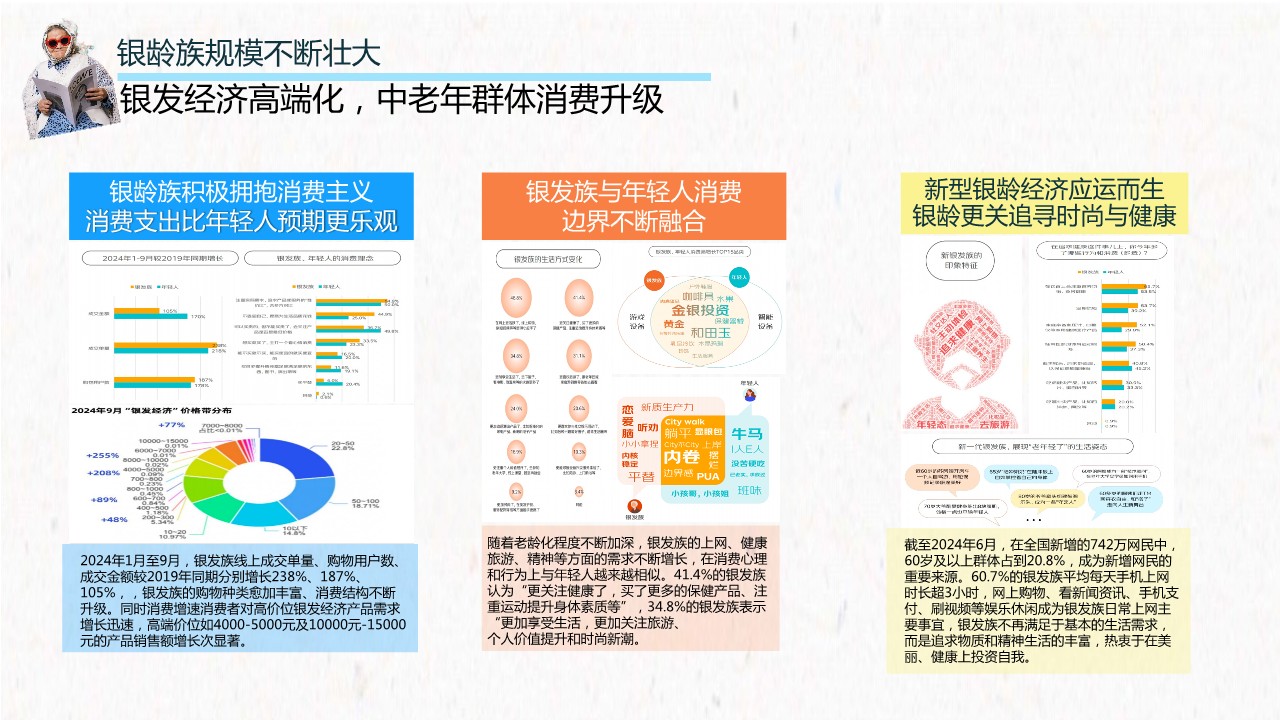 快手生服银龄IP《银潮来袭》营销方案【银发经济】 第3页