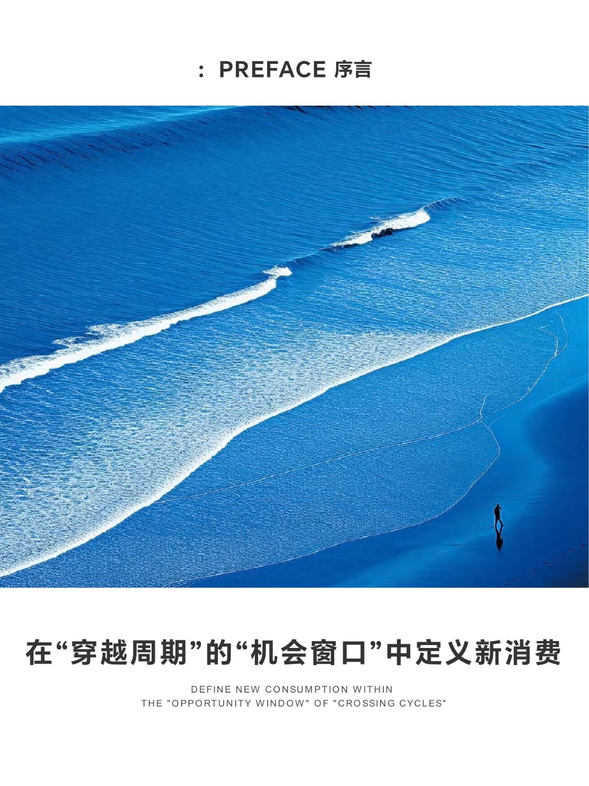新消费品牌研究院年度案例报告 第3页