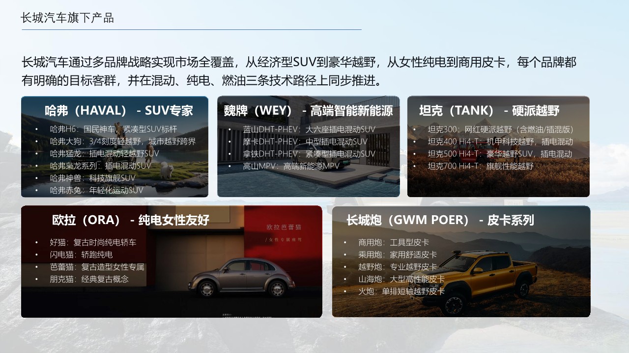 长城汽车可行性探索简案【营销铺排】 第3页