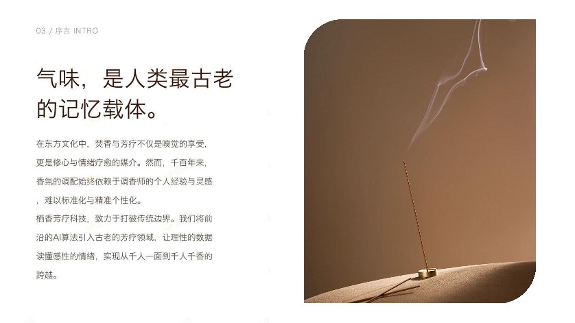 AI智能研发香氛配方方案【AIGC】【创意营销】 第3页