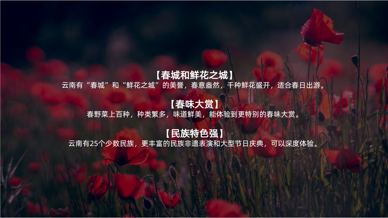 快手骑行记招商方案【快手营销】 第2页