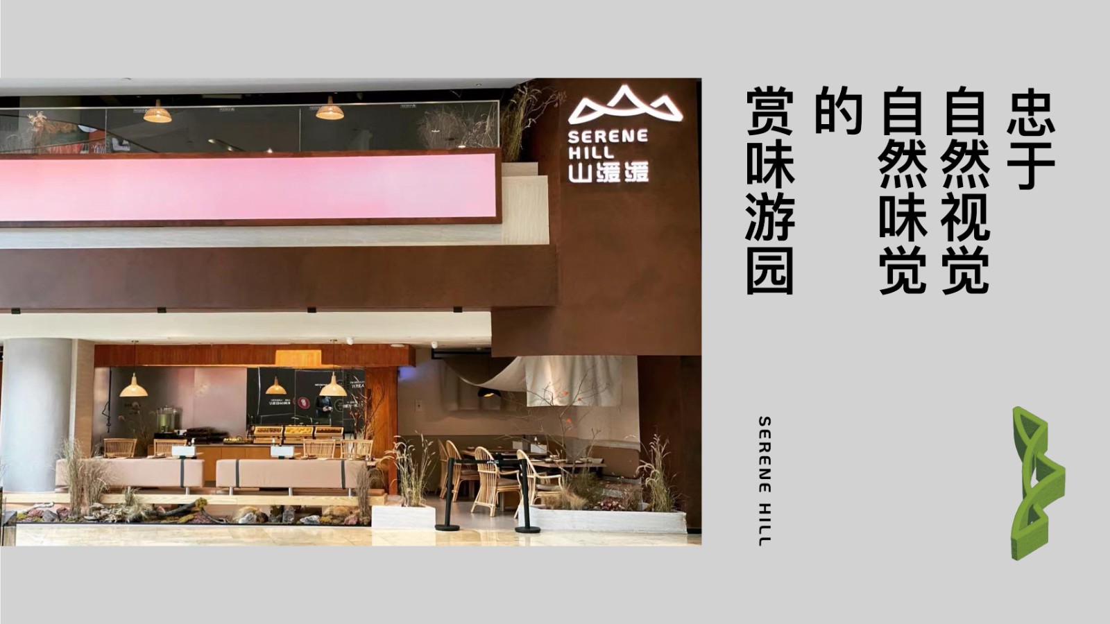 餐饮品牌SERENE HILL 山缓缓品牌书手册 第2页