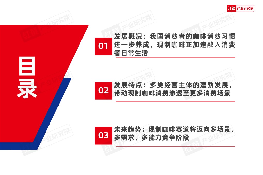 咖饮品类发展报告2026 第3页