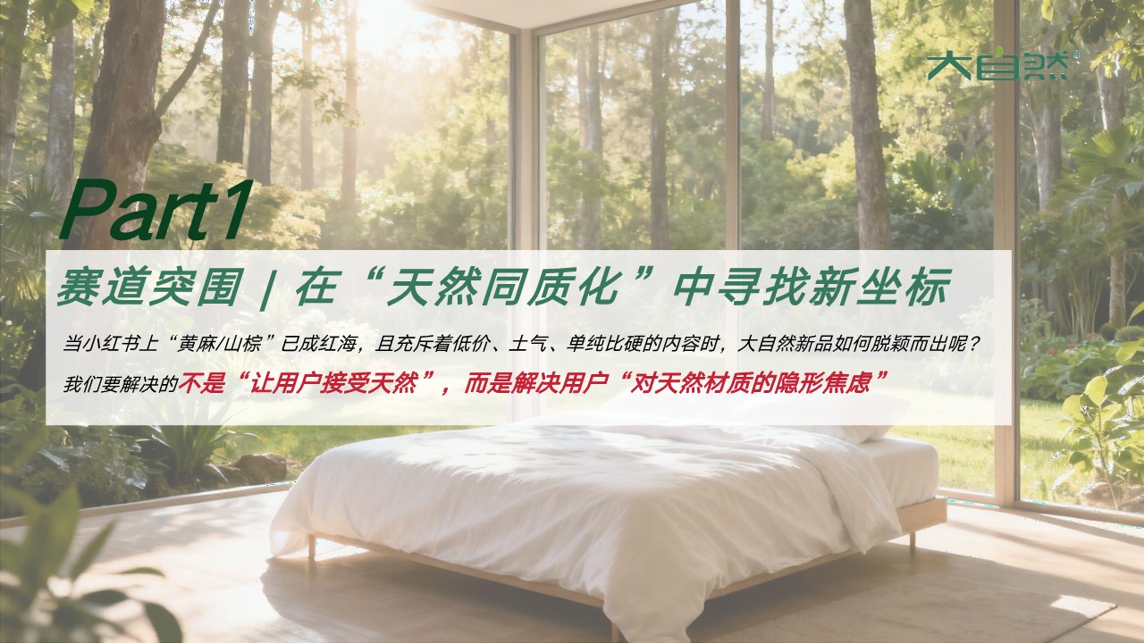 2026大自然床垫小红书种草方案【种草营销】【小红书运营】 第2页