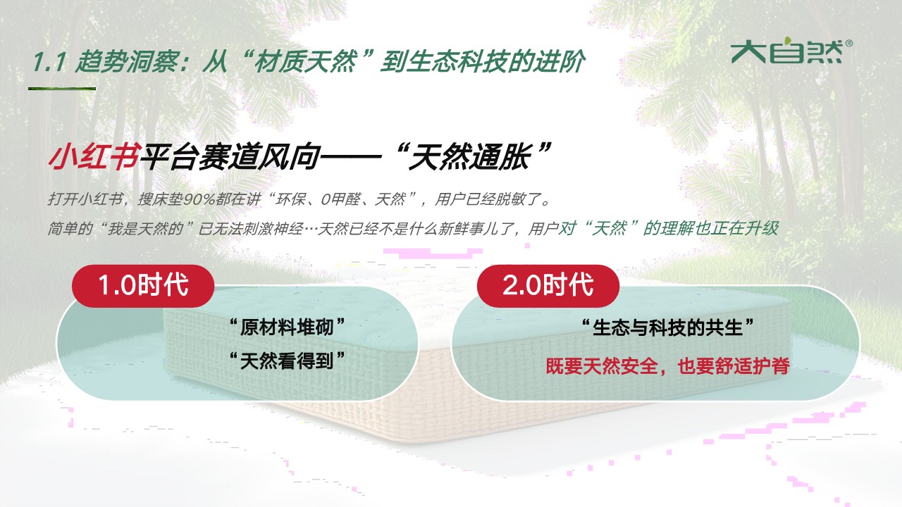 2026大自然床垫小红书种草方案【种草营销】【小红书运营】 第3页