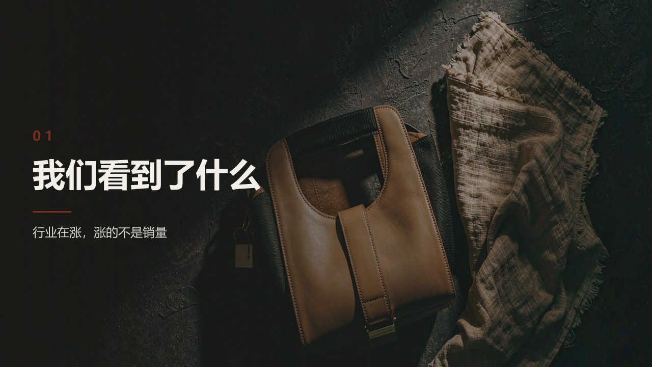 箱包品牌2027双平台年度营销方案【社媒运营】【种草营销】 第3页